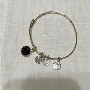 Alex and Ani Silver Charm Bracelet with Purple Gem